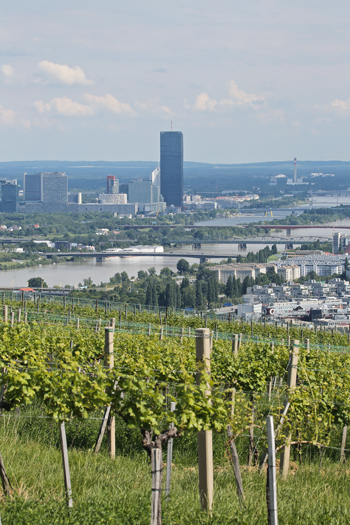 Premiumlage auf dem Nussberg