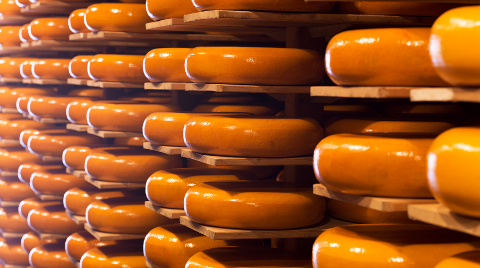 Alles Käse – Gouda aus Holland – EAT | DRINK | THINK
